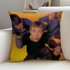 B-Blur B-Band Cushion Cover Natural Linen Pillowcase Set, All-In-One Decor For Sofa, Bedroom & Chair