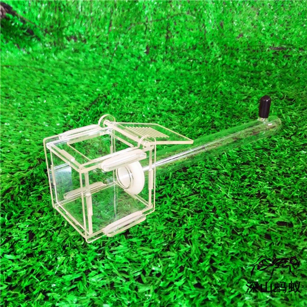 Acrylic Transparent Small Ants Nest Glass Nest Tube Farm Experiment Small Colony Feeding Area for Ants Observation Science