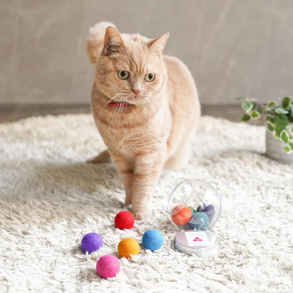 NEKO MORE CANDY POT Felt Pack of Cat Toy Balls, Large, Approx. 3.5cm, 9, (RETRO)