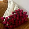 Rose Bouquet Blanket Soft Light Romantic Knitted Dual-Function Home Decor Present For Friends Family