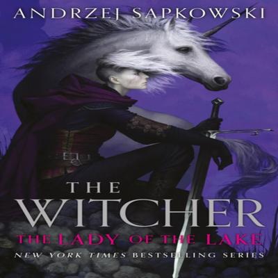 The Lady of the Lake by Andrzej Sapkowski Hardback Book 9781399611121