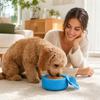 Dog Slow Feeder Bowl, - Spherical Licking Bowl, Interactive Pet Feeding Bowl for Small Medium Large Dogs