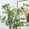 Single Home Decoration Wedding Ornament Wedding Simulation Osmanthus Leaf Simulation 6 Than Milan Leaf