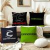 CCannondale Personalized Pillow Cover Kids Bedroom Wild Party Decor Pillowcase Kid Birthday Shower Gift