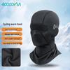 Thermal Cycling & Ski Balaclava