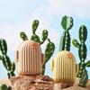 Cartoon Cute Soap Box Cover Household Soap Box Bathroom Bathroom Dormitory Drain Soap Box Travel Portable Waterproof Soap Box