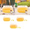 Portable Hamster Cage Clear Comfortable Convenient Outgoing Habitat Breathable for Guinea Pig Small Animals Hedgehog Mice