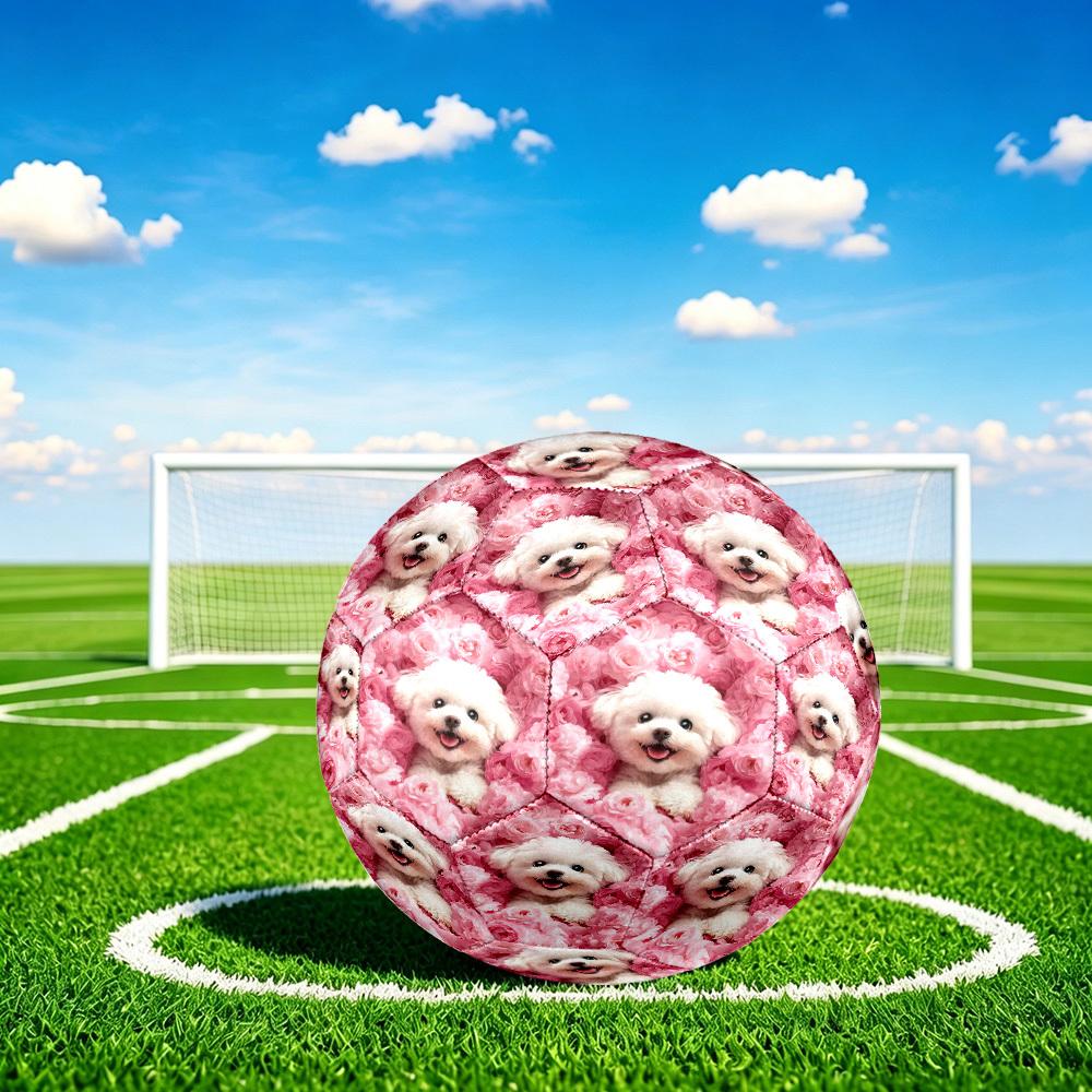 1pc Pink Roses Pup Theme Soccer Ball Football, Size 5, Lightweight PVC, Outdoor Training Soccer Ball,Gift J61419