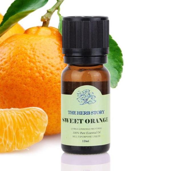 

[OFK44356] Sweet Orange Massage Essential Oil (12126876)