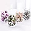 Exquisite Glass Cup Four Seasons Trees Cocktails Cup Durable Glass Material