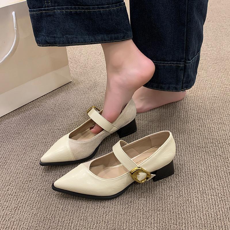 Pointed Toe Mary Jane Shoes Women's Spring New Vintage Versatile Block Heel One Strap Shoes