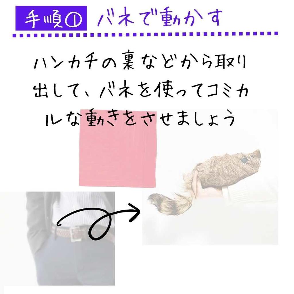 Magic Raccoon Spring Pet Magic Cute Raccoon Plush Toy Tricks, Lucky-kun, Maggie, Trick, Animal,