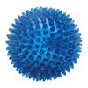 EETOYS Spiky Squeaky Chew Ball Dog Toy