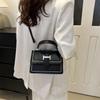 Black White Khaki Blue Brown Korean Style Fashion Handbag 2024 Spring Small Square Bag