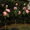 Solar Powered LED Lawn Light 3 LED Lights Garden Lights Floral Lamp  Lawn Decoration