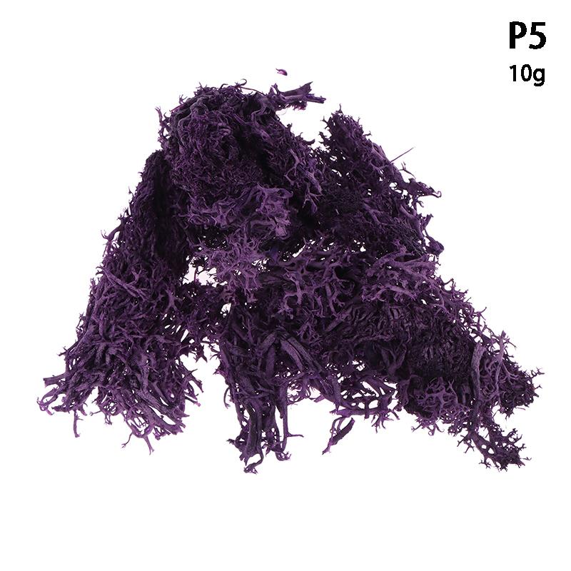 Colorful Natural Artificial Moss Plant DIY Dried Reindeer Moss Decor Resin Epoxy Filling Jewelry Garden Decorate Supplies