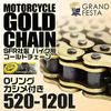 WEIMALL SFR Motorcycle Gold for Compatible with Chain, O-Ring, Two-Wheeled Motorcycles, 520-120L