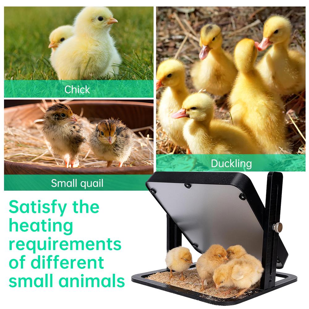 Chicken Brooder Heater 12 X 12 Inches Poultry Heating Plate for 15 Chicks Warmer with Constant