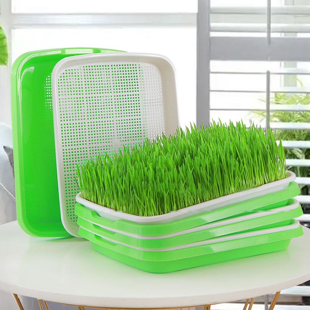 Microgreens Sprouter Tray Hydroponic / Sprouting Tray for Sprout Horticultural Hydroponic Systems Tray Garden Nursery Potted