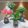 Decorațiuni pentru casă – Flori decorative şi coroane de flori