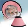 Pet Circle Solid Color Anti-licking Plastic Recovery Wound Protective Collar for Cat