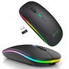 Periferice pentru calculatoare – Mouse-uri