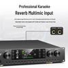 SAST AV-319 High-Power HIFI Amplifier with DSP (CN Version)
