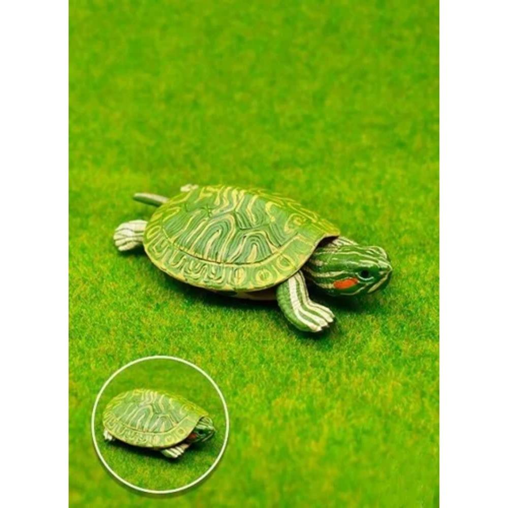 GACHA Ecological Atlas FIGURE Encyclopedia of Dangerous Organisms Lobster Tortoise Hermit Crab ACTION Figure Model Playthings