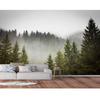 Nowoczesne fototapety 3d Las Świerkowy Tapeta Zdejmowane naklejki ścienne do salonu Sypialnia Fototapety