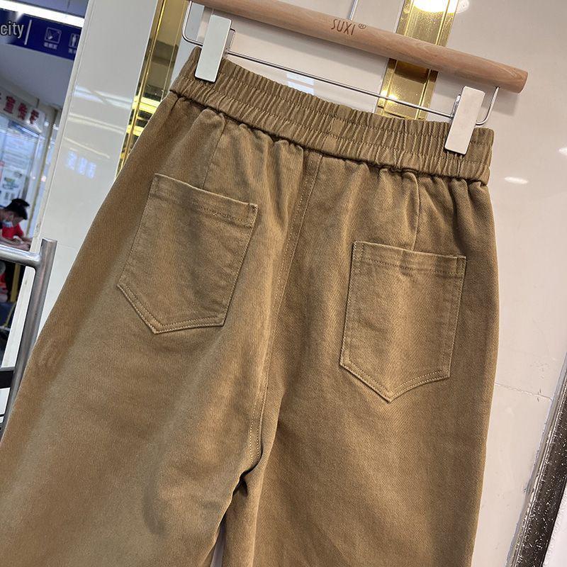 Pantaloni Harem de Damă Stil Coreean Căptușiți cu Fleece - Toamnă/Iarnă, Versatili, la Modă, Largi, Subțiază, Pantaloni Lungi Casual Îngroșați.