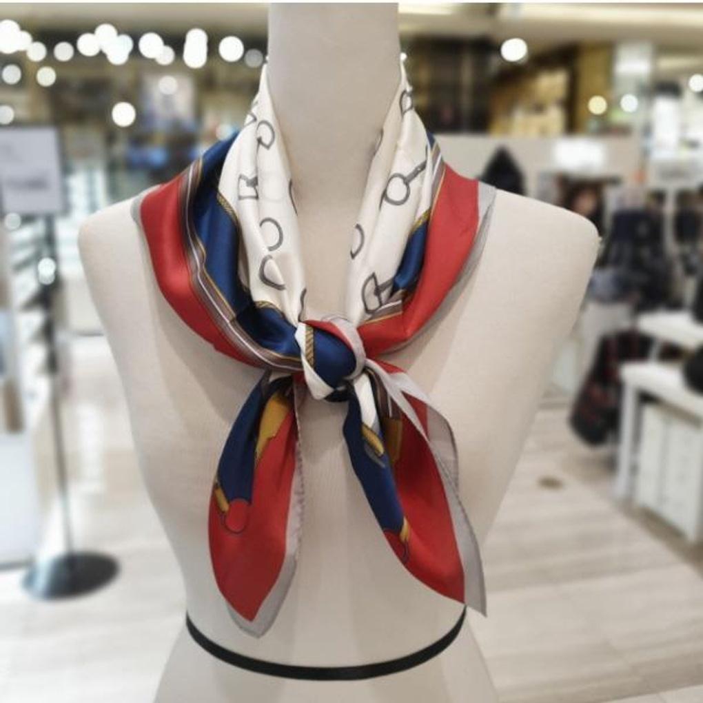 Arnaldo Basini Dioscarp ABWS-1A