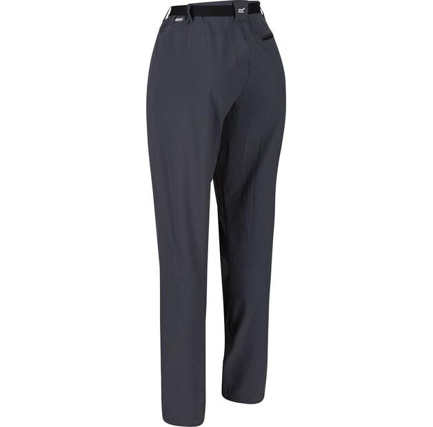 Брюки Regatta Xert III Stretch Pants seal серый