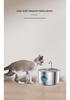 PetSmart 3.2L Stainless Steel Automatic Water Fountain & Feeder for Cats and Dogs
