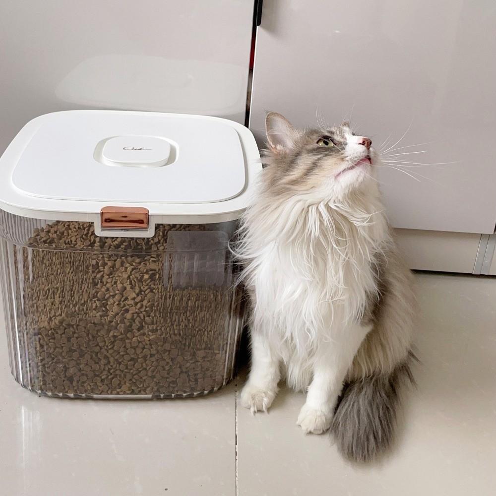Flip Cover Dog Food Storage Container Transparent Large Capacity Cat Dry Food Box Plastic Sealed Pet Food Storage Barrel