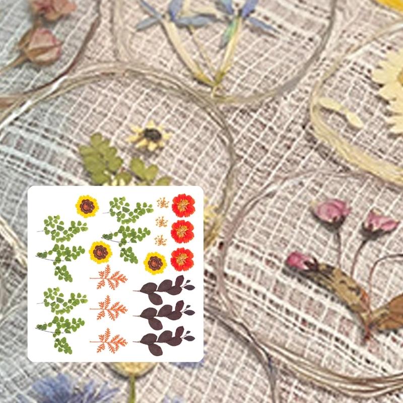 Natural Dried Flower For Epoxy Resin Molds Dry Flowers and Leaves Set for Art Craft Candle Jewelry Making Scrapbooking