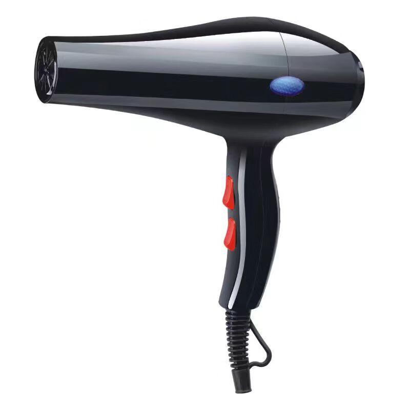 

C-2 High-Power Home & Salon Hair Dryer