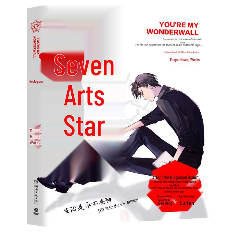 Popular Contemporary Chinese Novels Collection