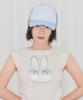 AMES-WORLDWIDE Ppg Mesh Cap Blue