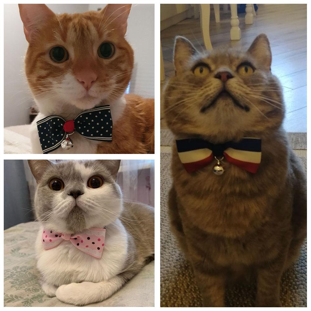 Pet Dog Cat Bow Tie Collar Fashion Pet Bows Cat Ties Bowties Neckties Bell Collar Small Dogs Accessories Puppy Grooming Supplies