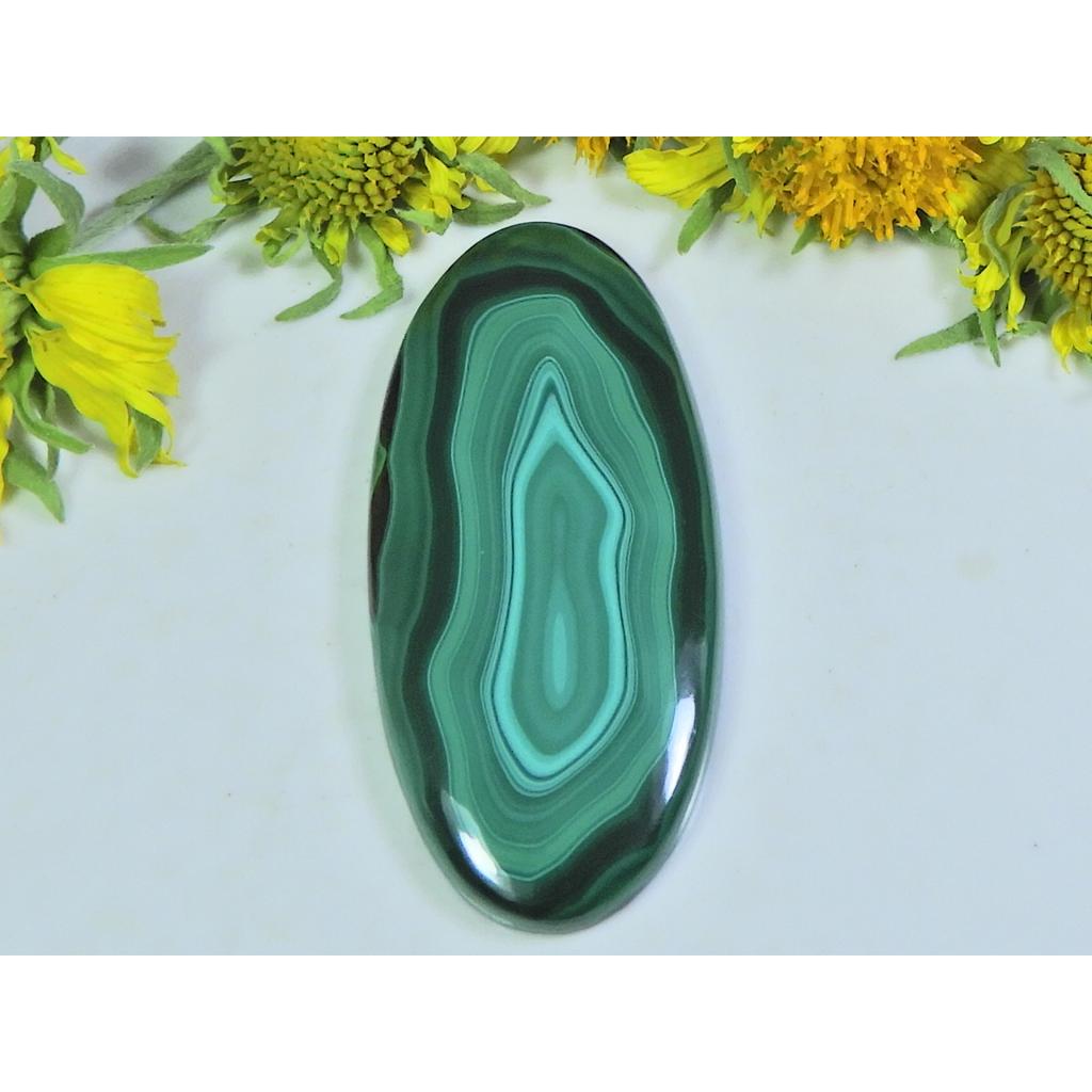 AA++ 65Cts. Natural Green Malachite Oval Cabochon Loose Gemstone 22X47X04 MM D-19