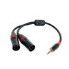 Rannsgeer 3.5mm TRS Stereo To Dual XLR Male Y-Splitter Cable R7C0A (12-inch)