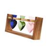 Hydroponic Flower Vase Modern Decorative Vase for Country Home Wedding