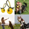 7cm Indestructible Solid Rubber Ball Pet Dog Training Chew Play Fetch Bite Toy Dog Toys for Small Medium Large Dog Interactive