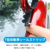 EsiFare T-Shape Car Molding 5m Gap Tape Car Door Edge