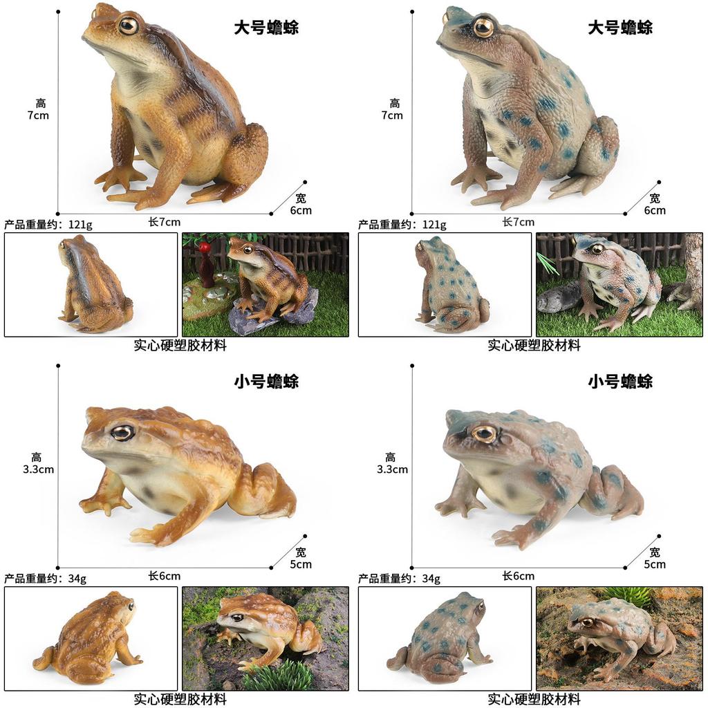 Kids Waterproof Plastic Frog Model For Learning And Collection Enthusiasts