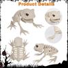 1 Peça Modelos de Animais Simulados Esqueleto Lobo SapoCorvo Esqueleto Decoração de Jardim Interno Externo Adereços de Decoração de Esqueleto de Halloween