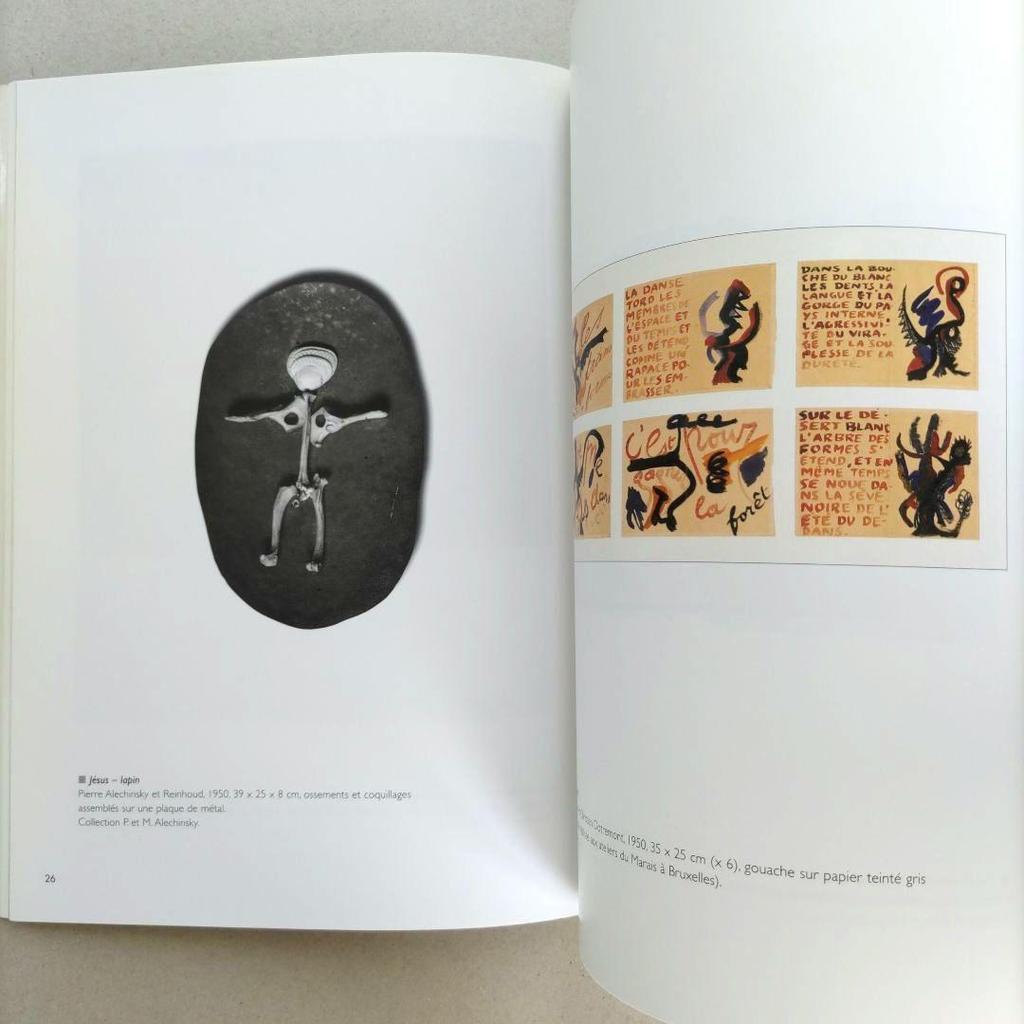 [USED] COBRA: Singulier pluriel/COBRA School Art Collection