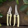 Lightweight Clippers Picking Scissors Suitable For Comfortable Use Home Gardening&Farming Precise Trimming Shaping Tasks