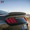 Mustang Carbon Fiber RTR Rear Spoiler Wing Diffuser