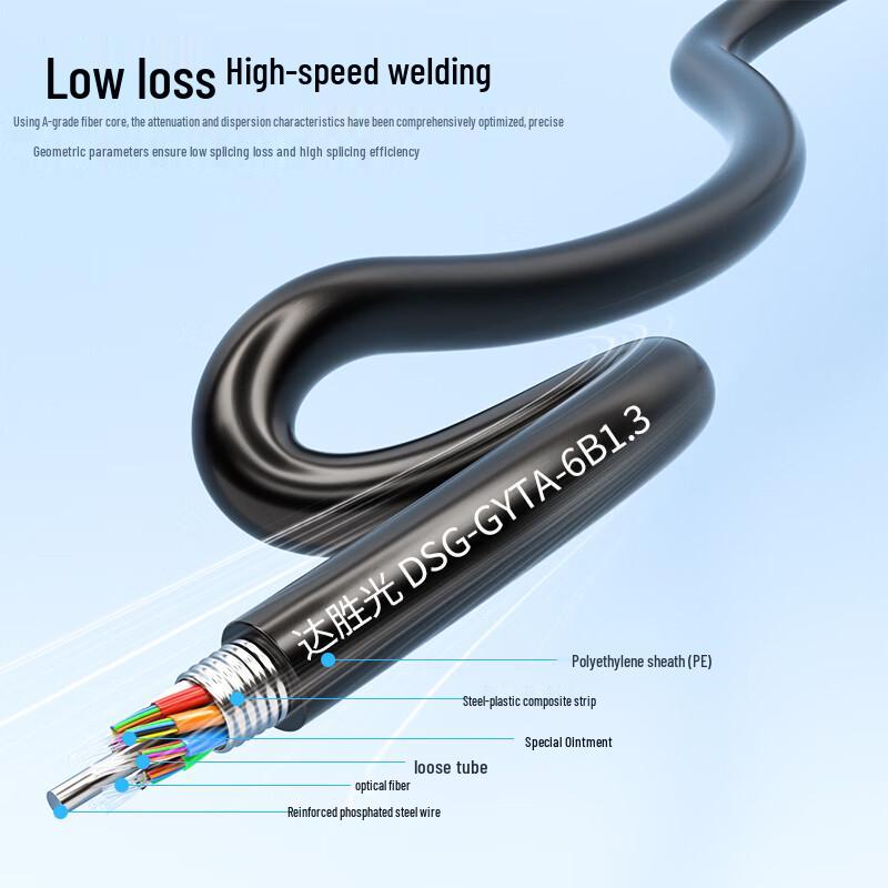 Dasheng Light Outdoor Single-Mode Fiber Optic Cable
